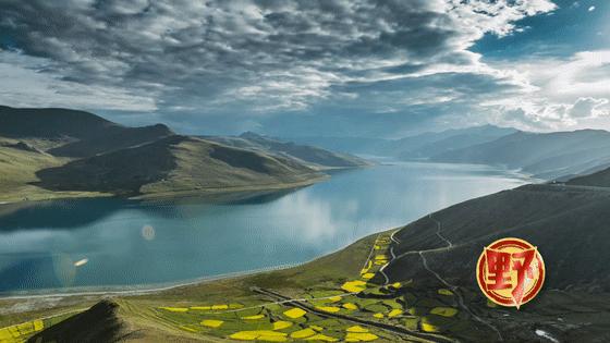 藏西有什么特色,藏戏的特点