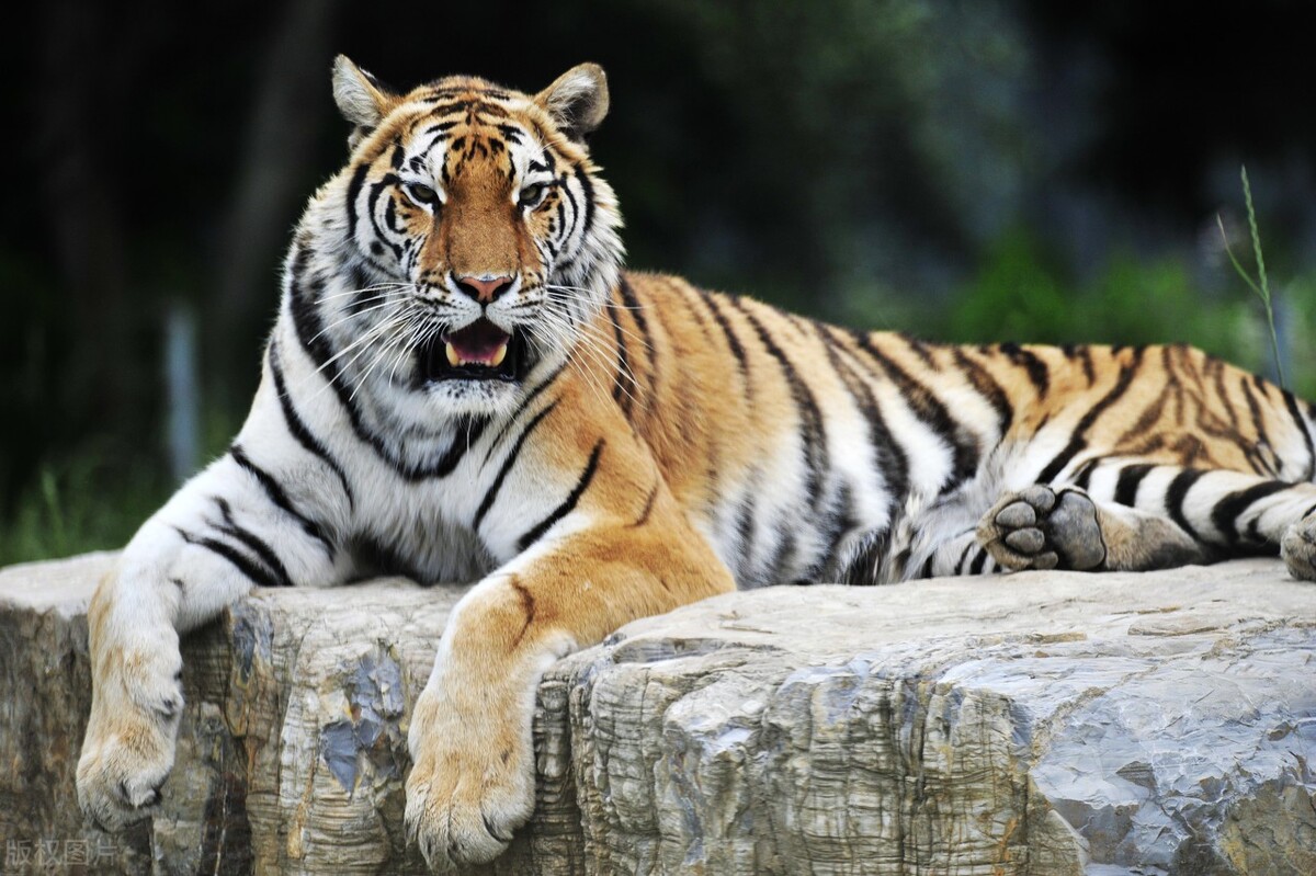 上海春节亲子游好地方推荐,上海自然博物馆亲子游攻略