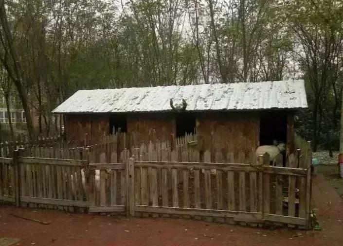 河北政法职业学院新校区,下一站华东政法大学