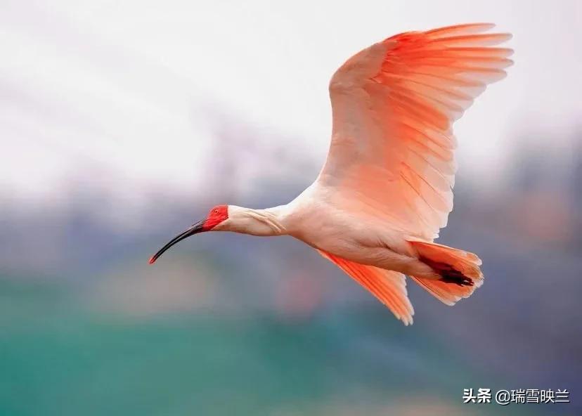 自驾出游第二十二天,自驾旅游第13天攻略大全