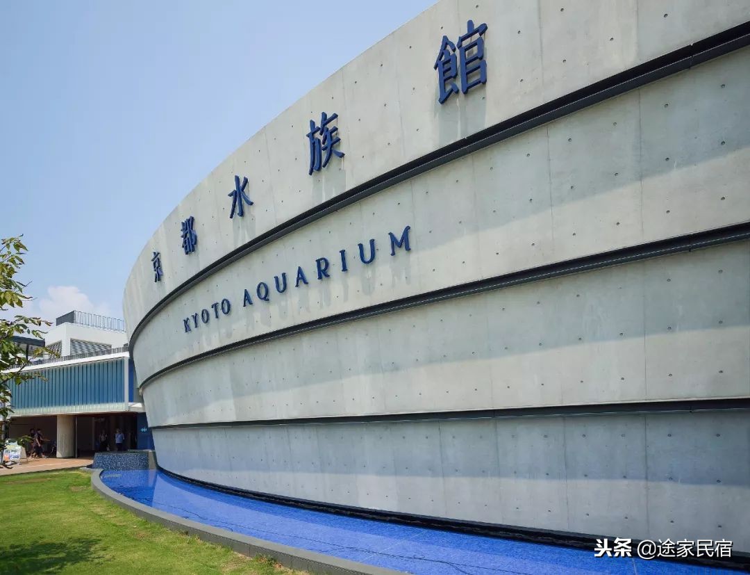 代购内幕德国,揭秘日本代购的内幕