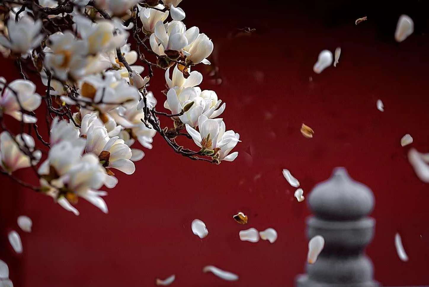 值得一去的南京旅游点,南京旅行攻略过年