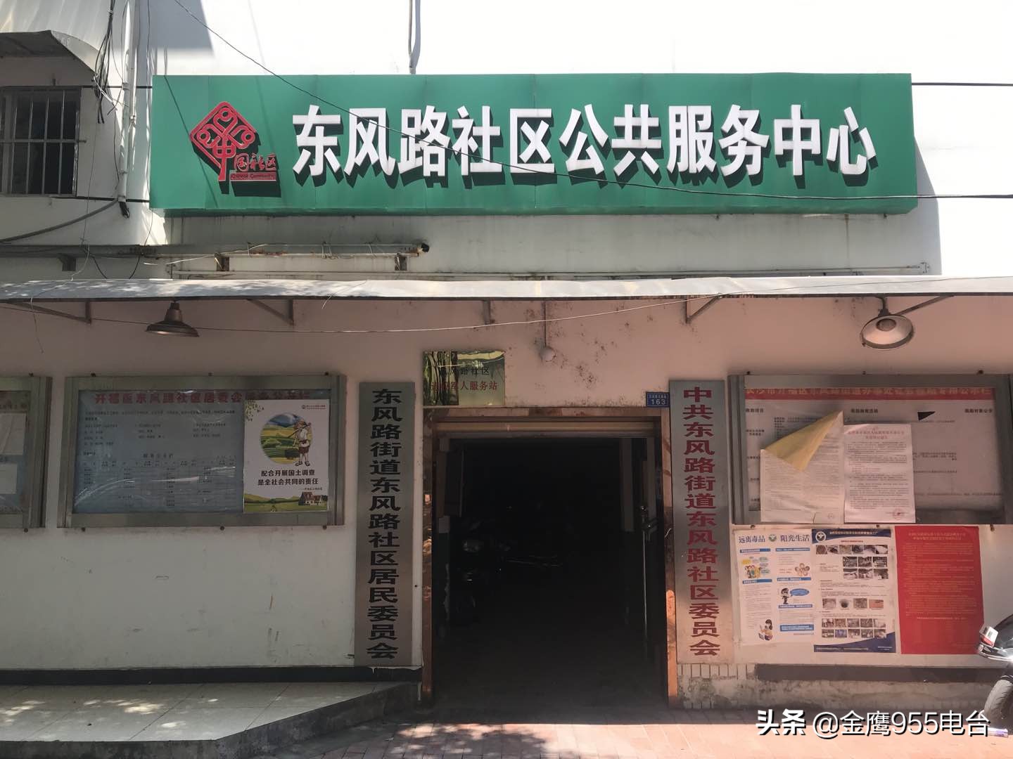 宠物狗被铅弹袭击,宠物犬被撞事故