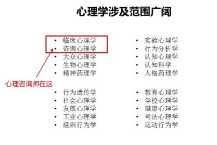 什么是心理咨询师督导,什么是心理咨询师的讲解视频