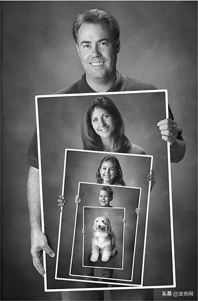 狗怀孕了会没精神吗,狗怀孕了以后还会有大姨妈吗