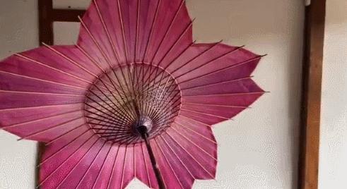 为英伦女神而生，20万日元一把的“樱和伞”，发售一小时就被抢光