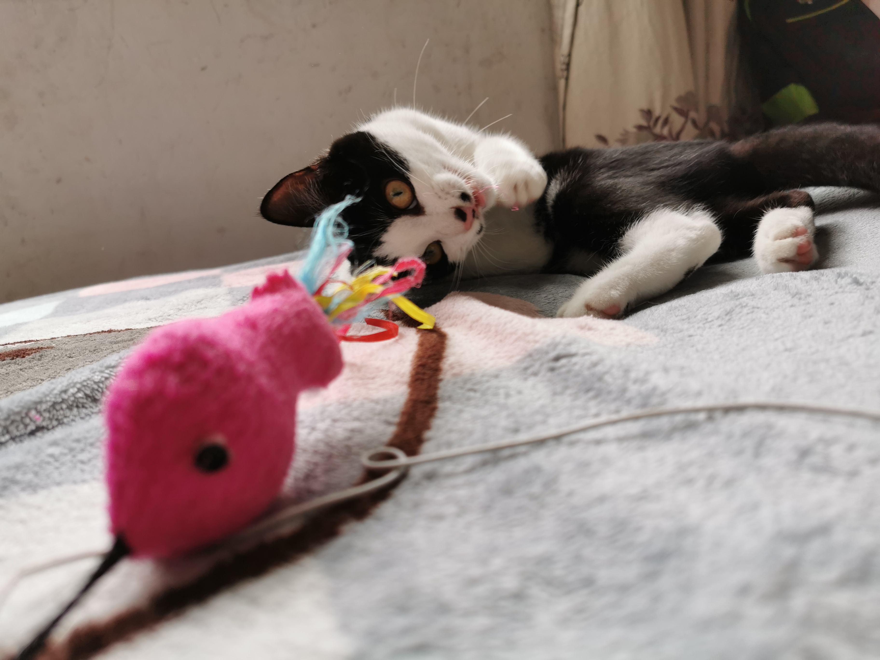 下雨天了我好想你歌词,下雨天了怎么办我好想你原版