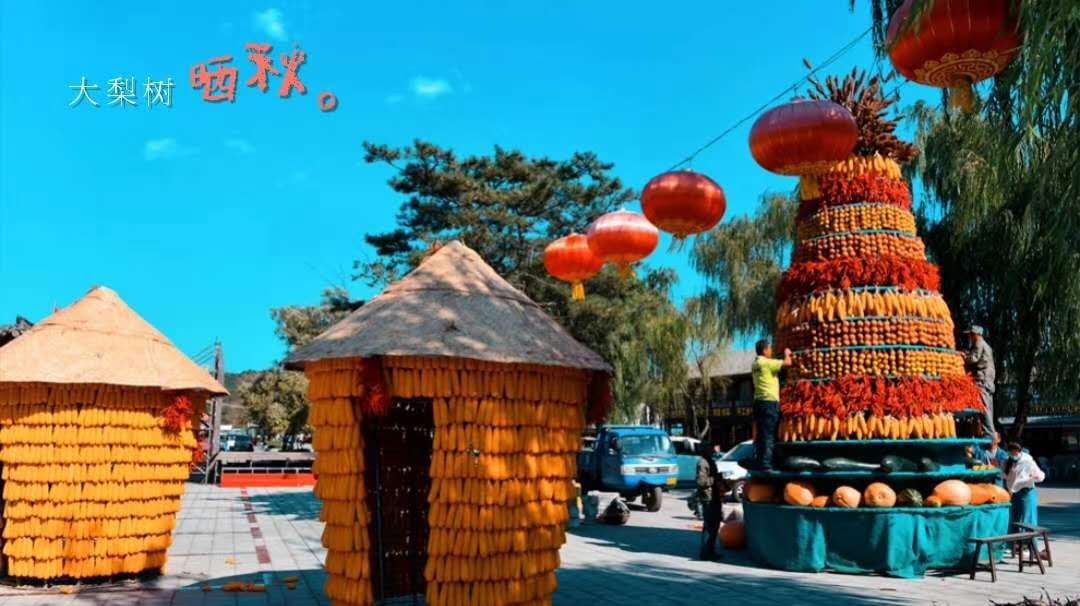 好戏连台！凤城“十节”正精彩……