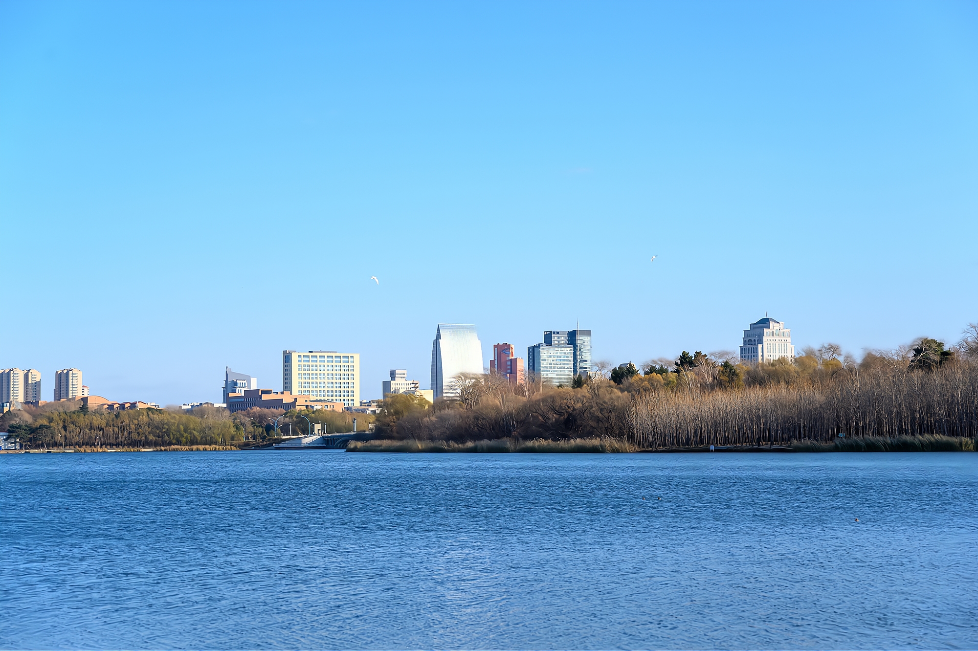 长春南湖公园，全国第二大城市公园，初冬时的景色依然美如画