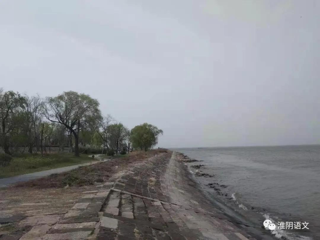 走进蒋坝古镇全文,走进蒋坝镇