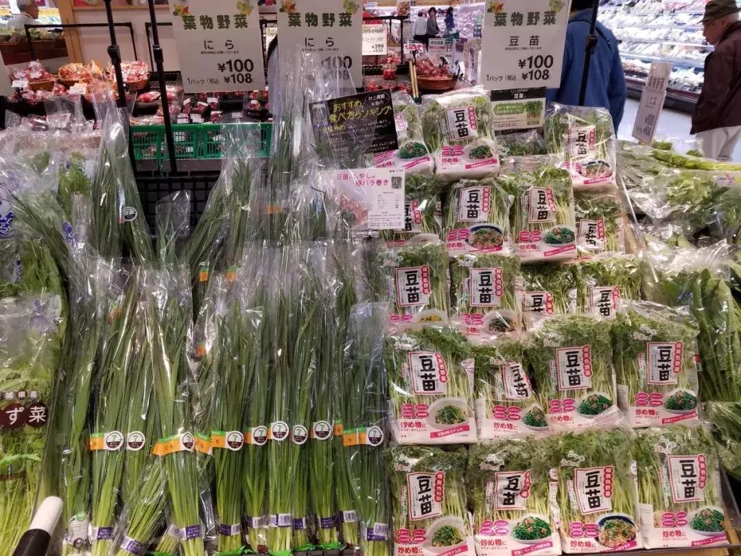 日本精致的日常生活 (日本的精致日常生活)