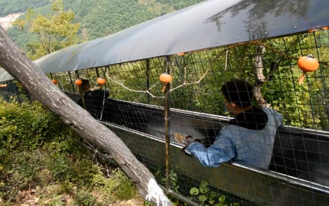 520去玩啥,520去哪里玩推荐