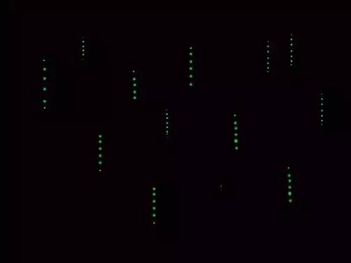 自由潜水怎么玩,潜水20个基本技巧