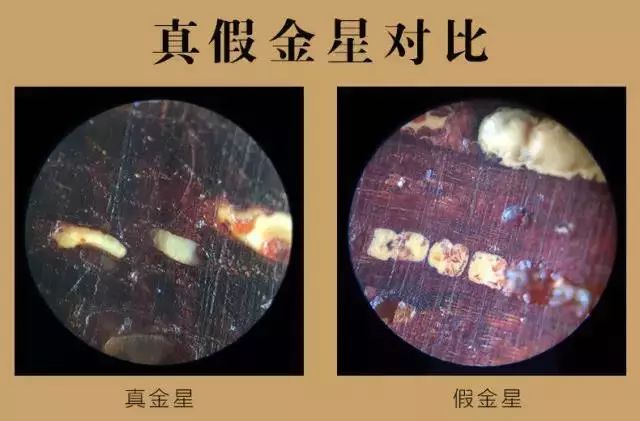 紫檀的真实身份,紫檀的一生