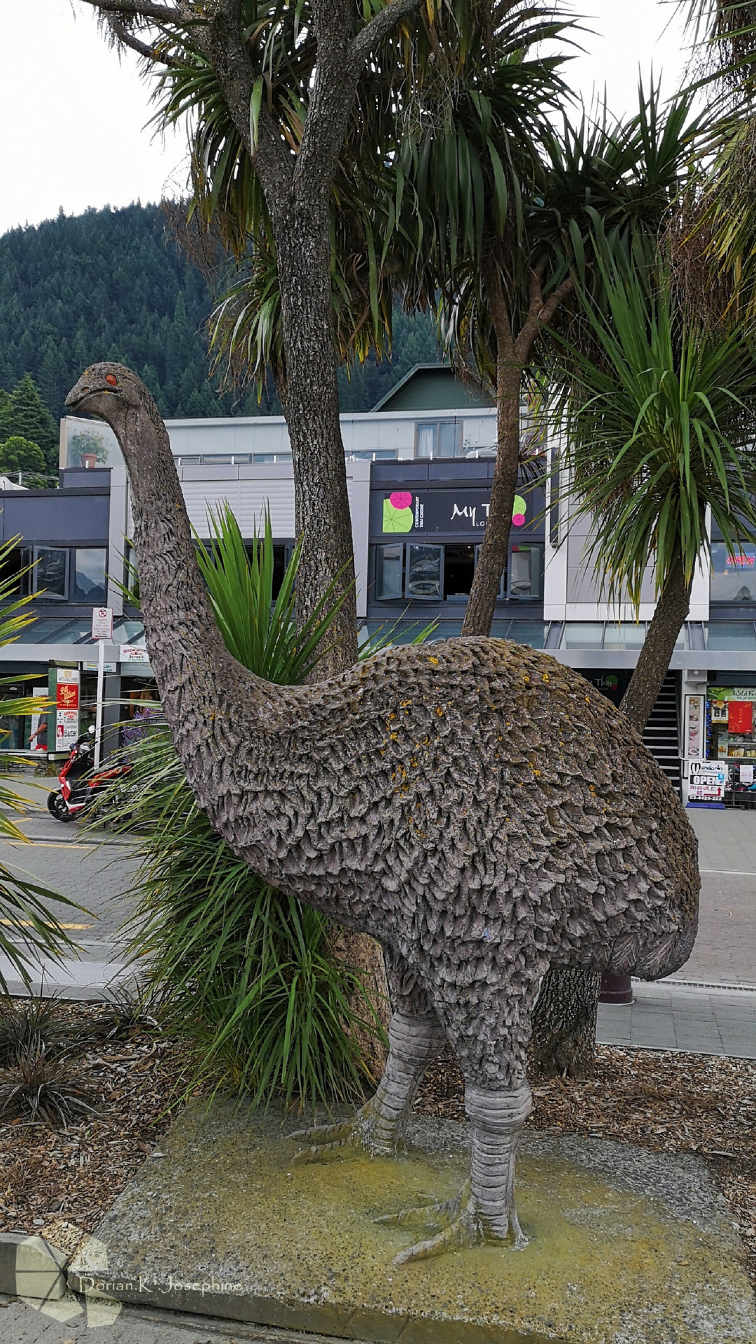 新西兰南岛一日游,新西兰南岛旅游地图