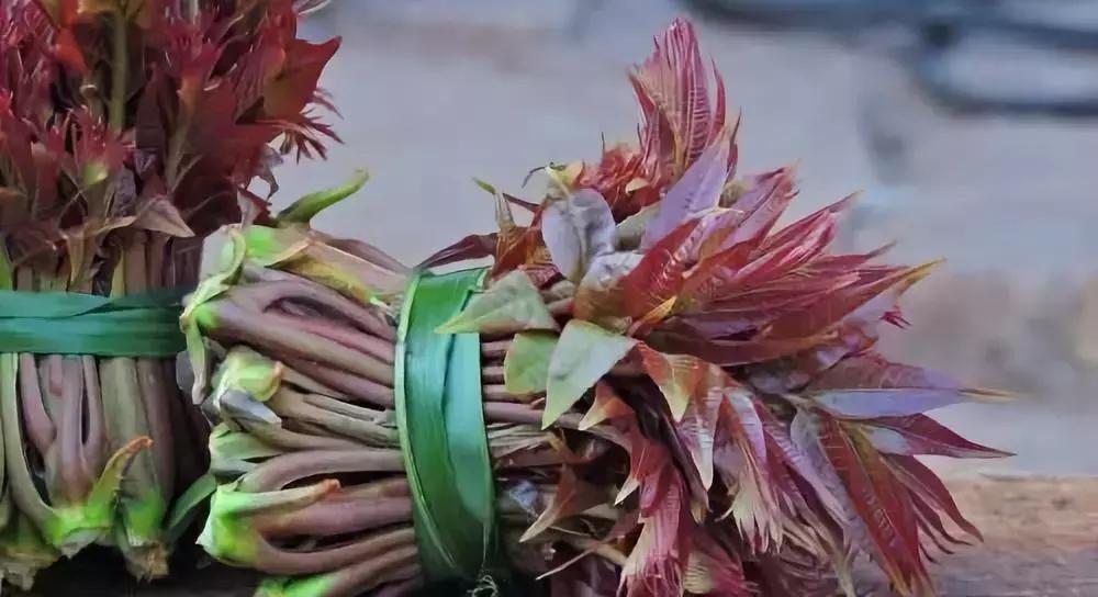 回村创业什么项目合适,十大热门农村创业项目