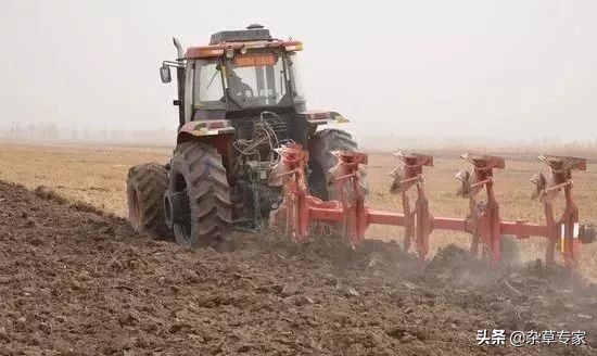 小麦田恶性杂草,小麦田的节节麦怎么除掉用什么药