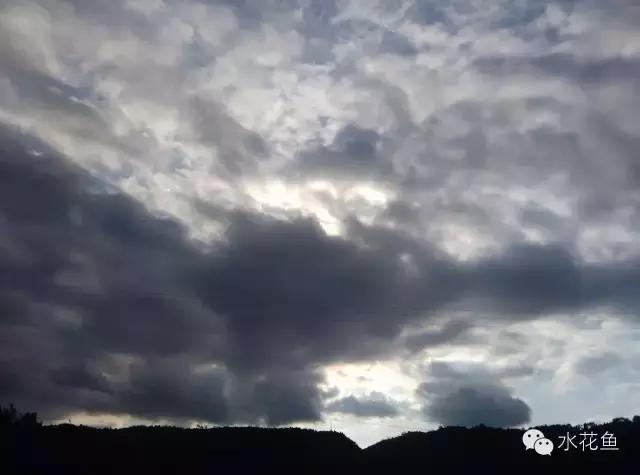 水产养殖低温用什么药,水产养殖不能使用什么药物