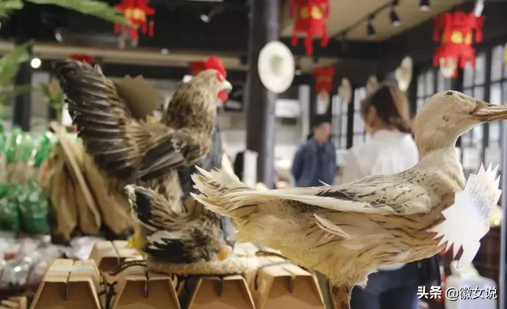 皖北的一个姑娘,安徽皖北姑娘