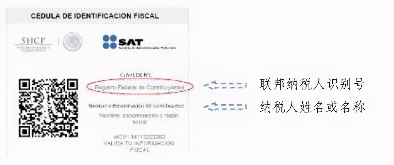 墨西哥税号注册流程,墨西哥税务税号
