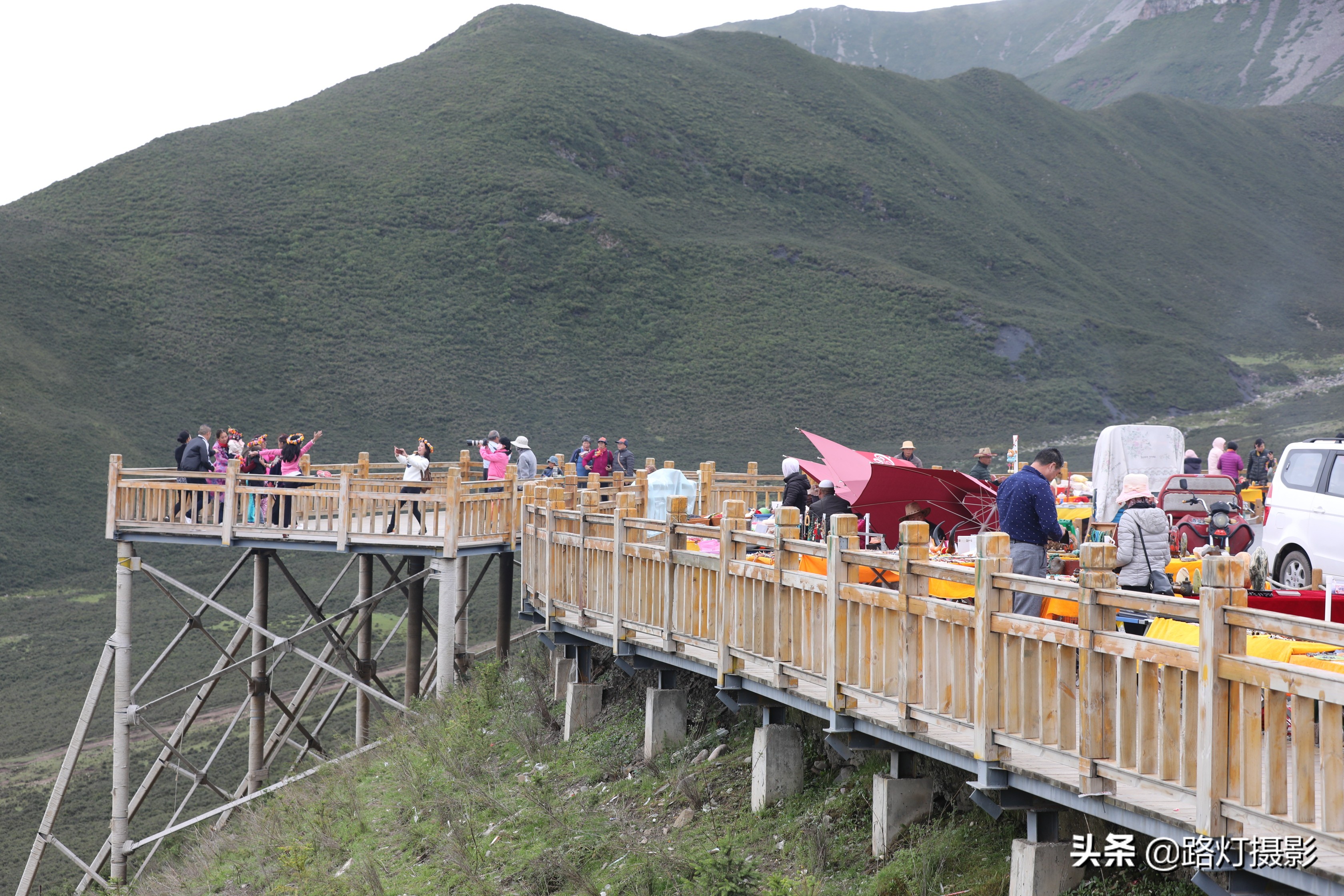 草原美丽的花海风景视频,青海花海旅游景区