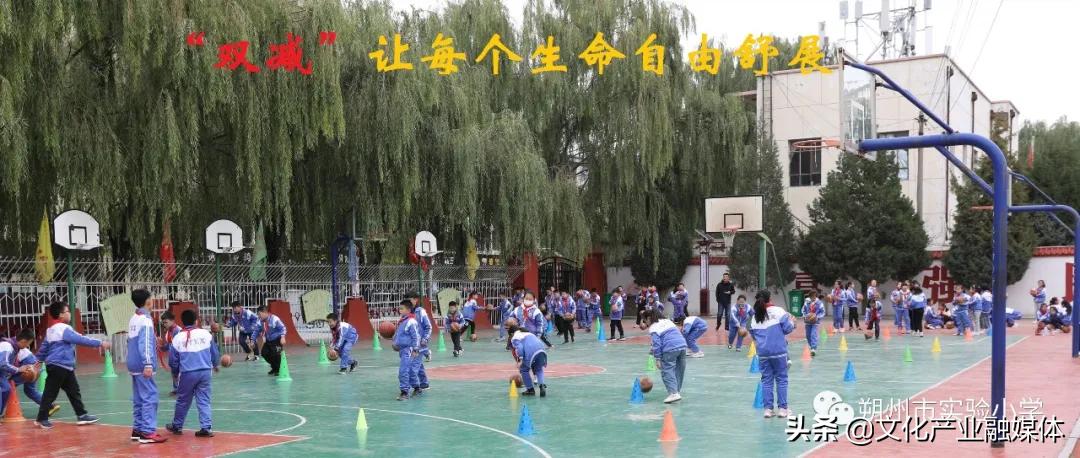 小学双减政策下的高效课堂,小学双减课堂教学提质增效