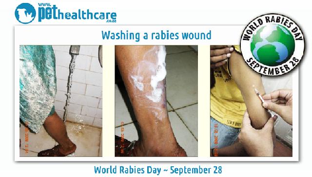 鎵撶媯鐘梾鐤嫍娉ㄦ剰浜嬮」,鎵撶媯鐘梾鐤嫍鏈熼棿绂佸繉