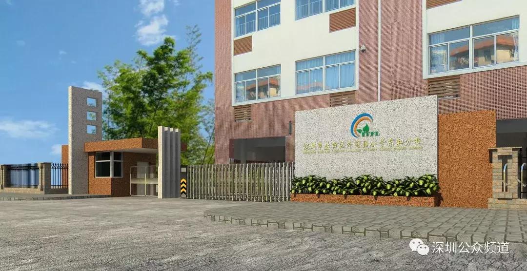 深圳贵族小学,深圳贵族小学排名前十名