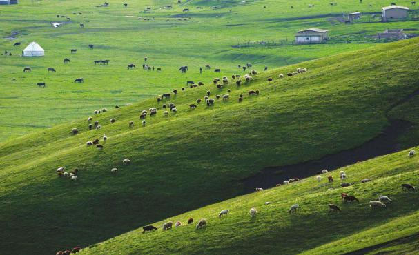乌市伊犁环游五日路线,环游之旅新疆