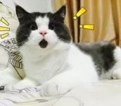 用个人信用可以先住酒店后付钱,住酒店用信用付