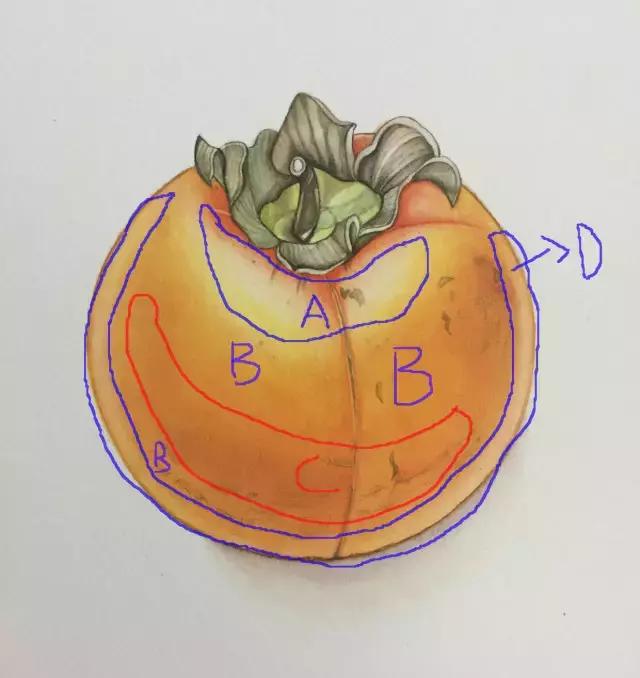 水彩密密麻麻的树叶怎么画,水彩画教程入门叶子