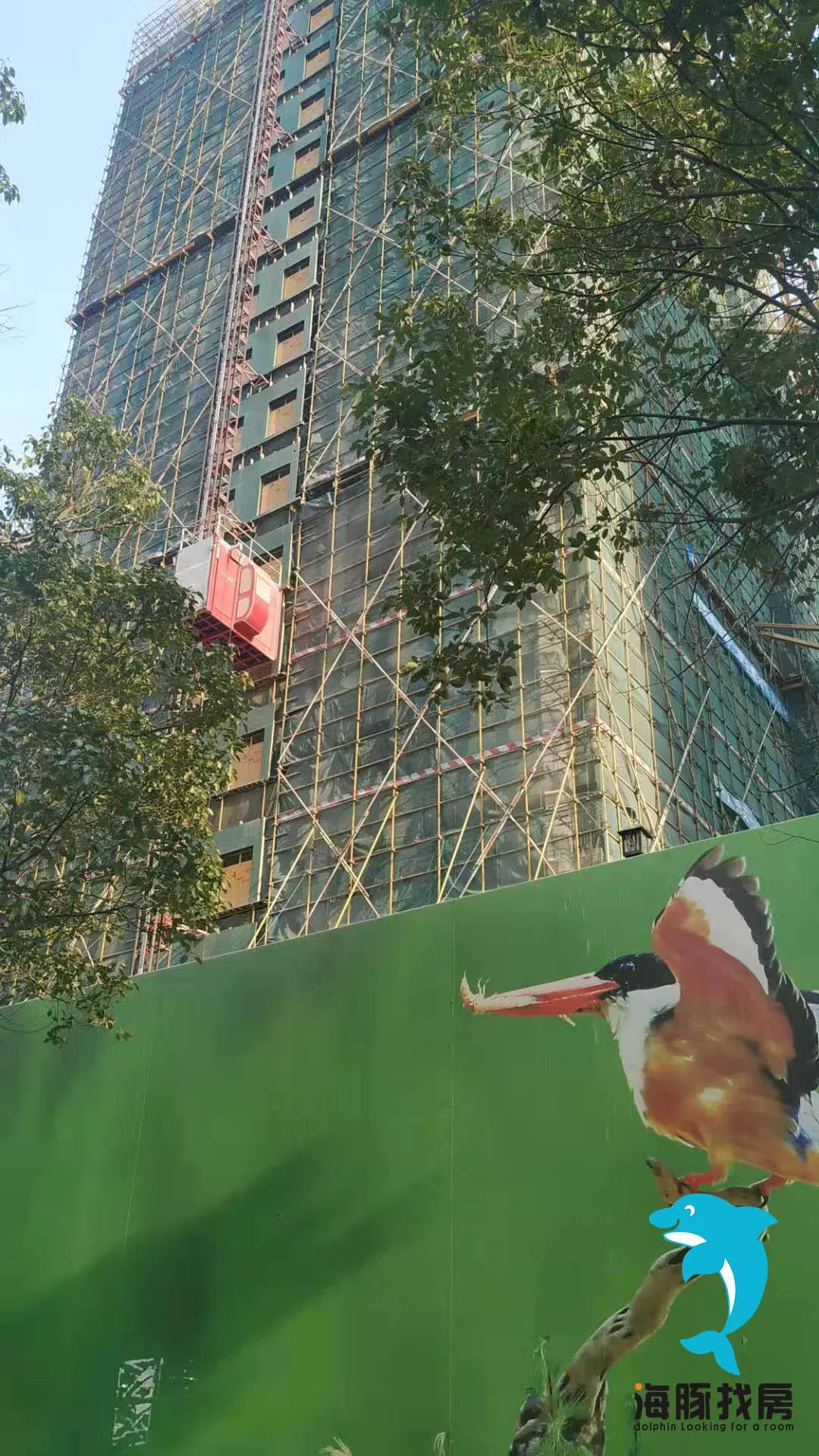 梧桐聚落开盘时间,泰华梧桐聚落花园交房时间