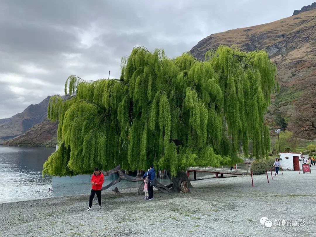 新西兰见闻录100,新西兰生活见闻