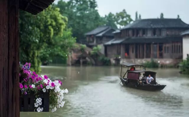 不负美景不负卿,不负美景不负卿经典语录