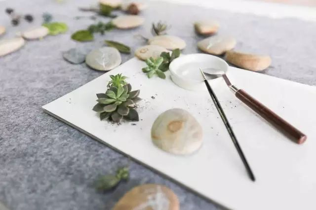 深山老林自建豪华木屋隐居生活,90后小情侣隐居深山建别墅仅花6万