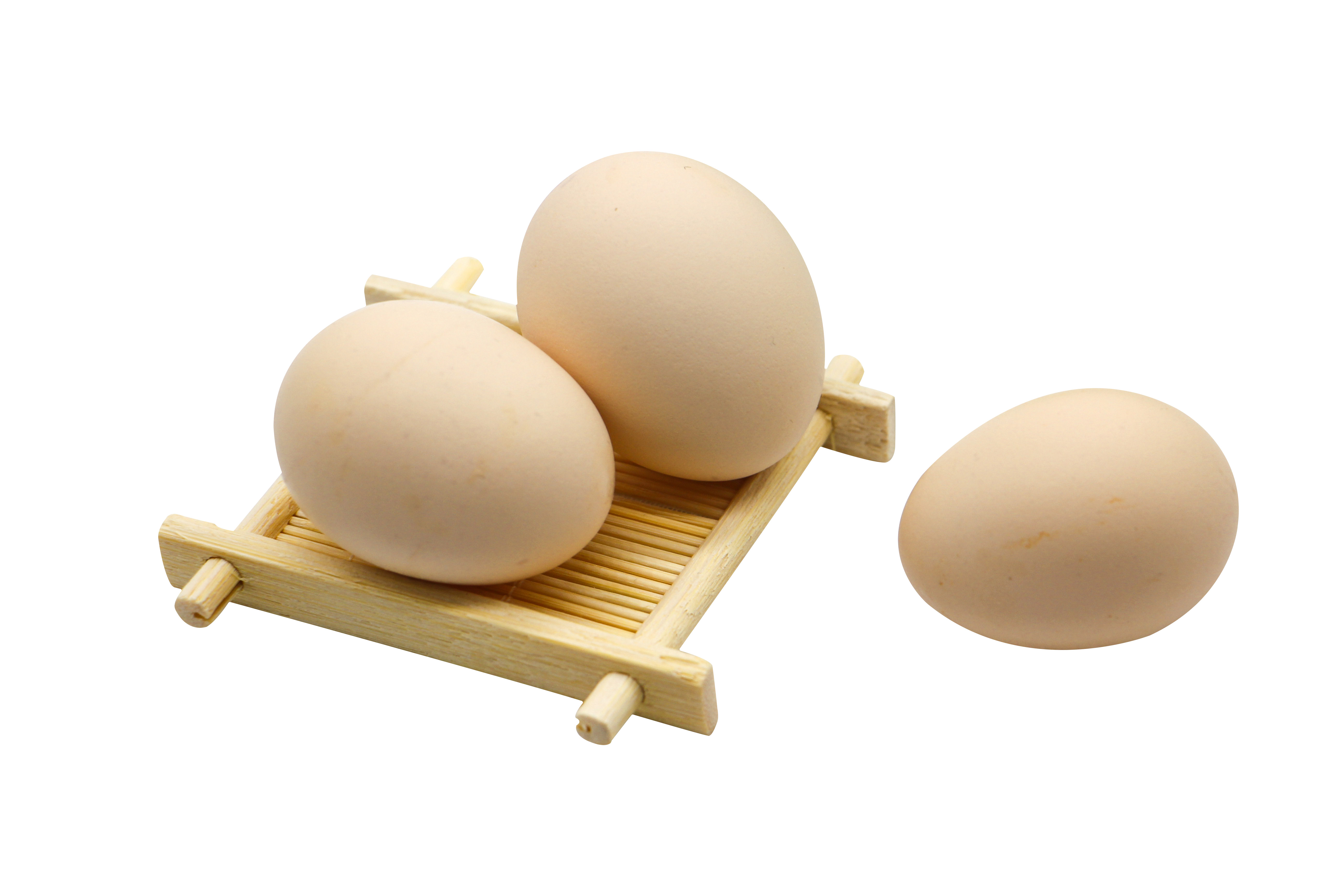 小蝌蚪不游了是怎么回事,刚出生的小蝌蚪为什么不游