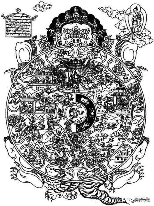 为什么猪蛇和鸽子代表三害,双头蛇在佛教中代表什么