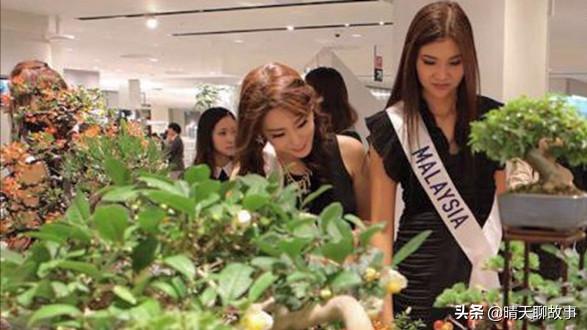 日本购物必去三家店，一家全是便宜货，一家全是高档货