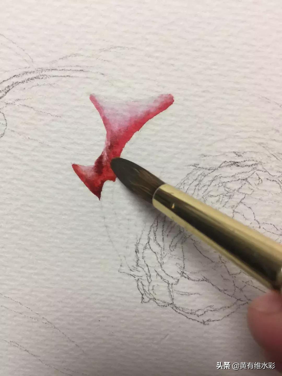 33朵玫瑰制作全过程,英伦花教程