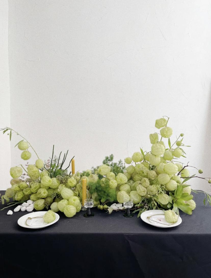 家里要有氛围感什么花比较好,家里高级的花