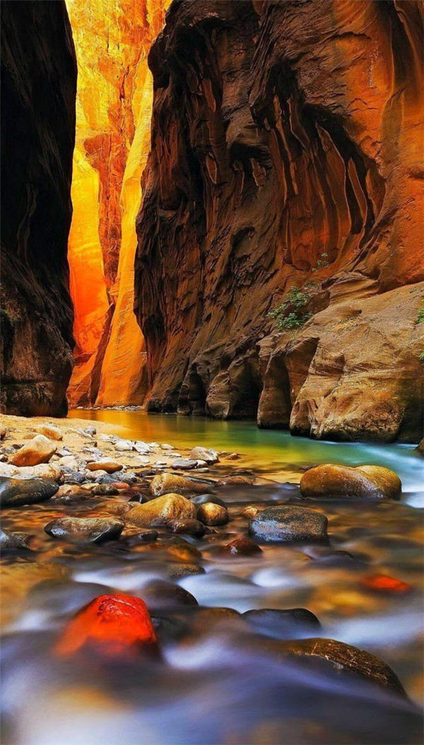 送你一张绝美壁纸,送你一张超美竖屏壁纸