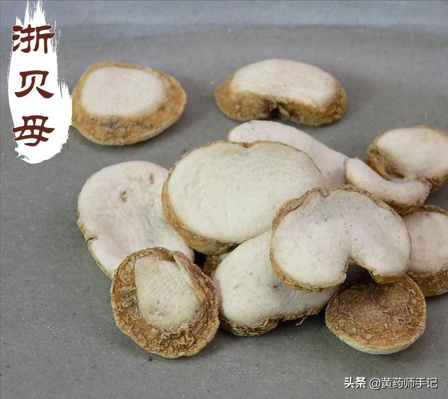 燥痰用川贝,热痰用浙贝,浙贝还用于肿块郁结、乳腺增生、胃溃疡