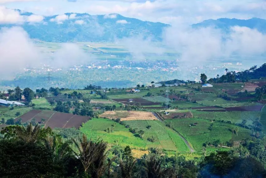 美娜多出海的图片,美娜多成为潜水天堂的原因