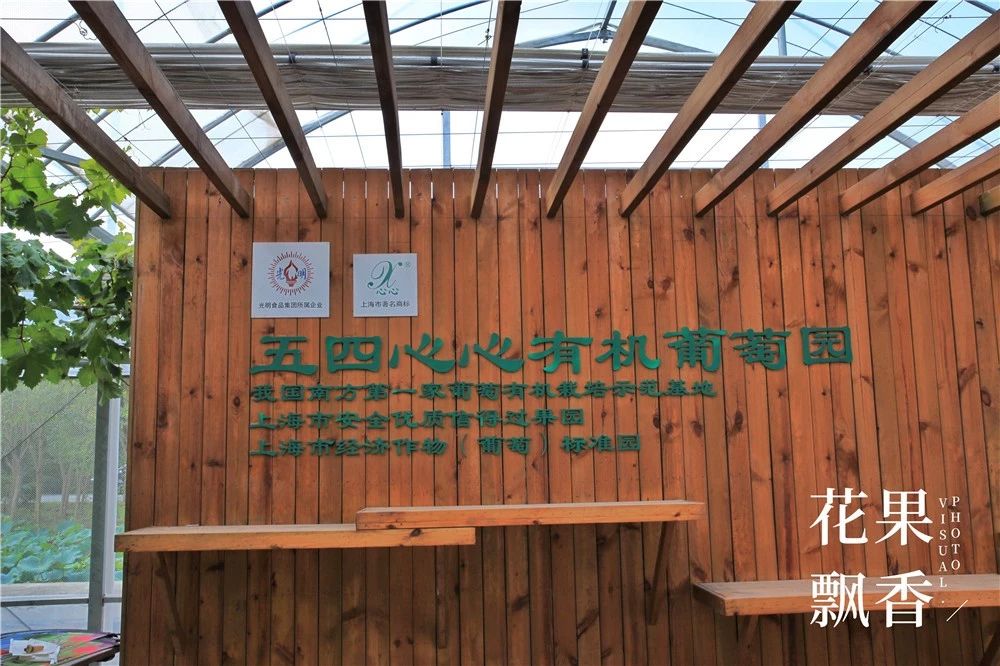 有机农产品的意义,有机的意义