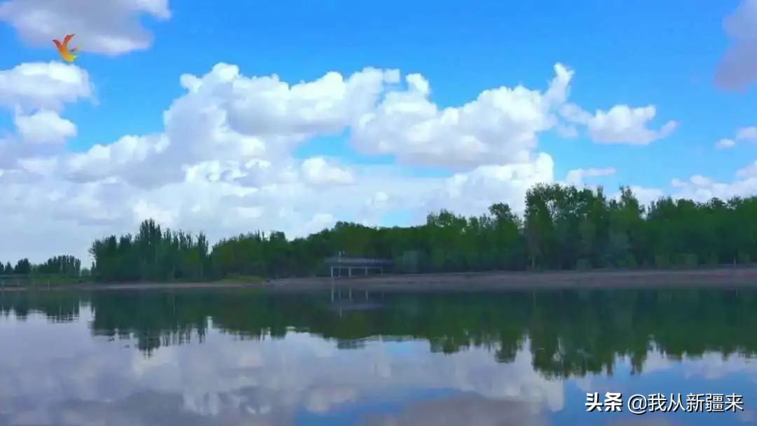 除了伽师瓜，你对伽师一无所知