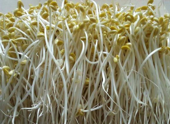 买豆芽怎么挑选,买回来的豆芽怎么快速去根