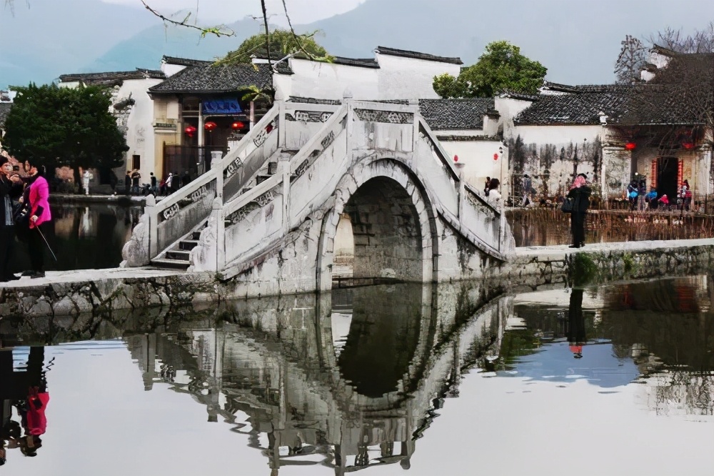 带着狗子旅行推荐,带着狗狗游新疆