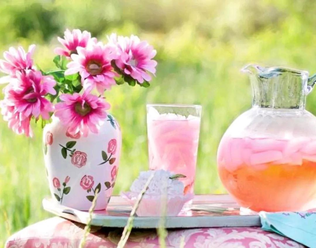 父亲节礼物花,父亲节送什么花好看