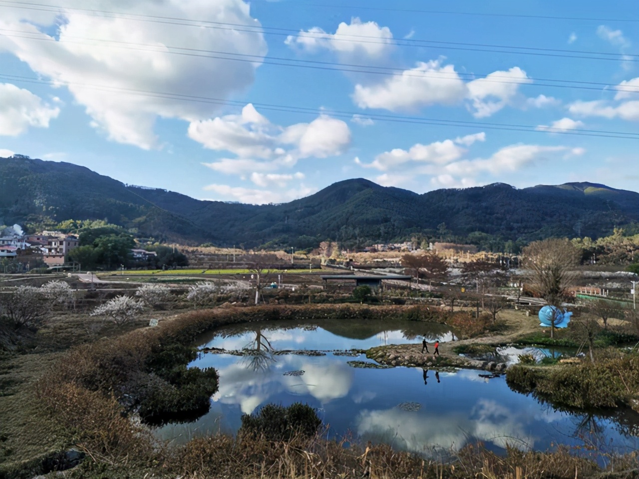 蜗牛里的春天视频素材,蜗牛的春天免费观看