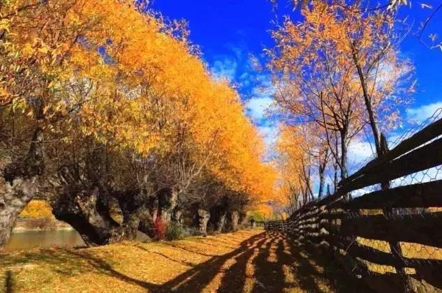 六月我们一起去旅行,九月带你去旅行